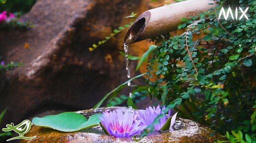 Find Inner Peace with Spa Music & Running Water Sounds