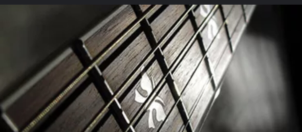 Фото грифа гитары