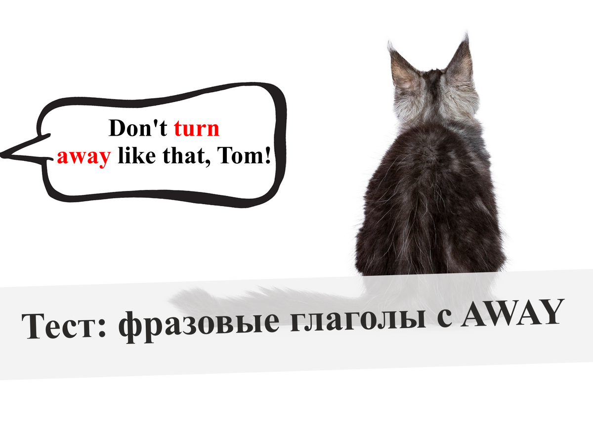 Опять на английском языке. Тест на предлоги в английском языке. Опять на английском языке. Кот не сдаст тебя. Английский язык дзен.
