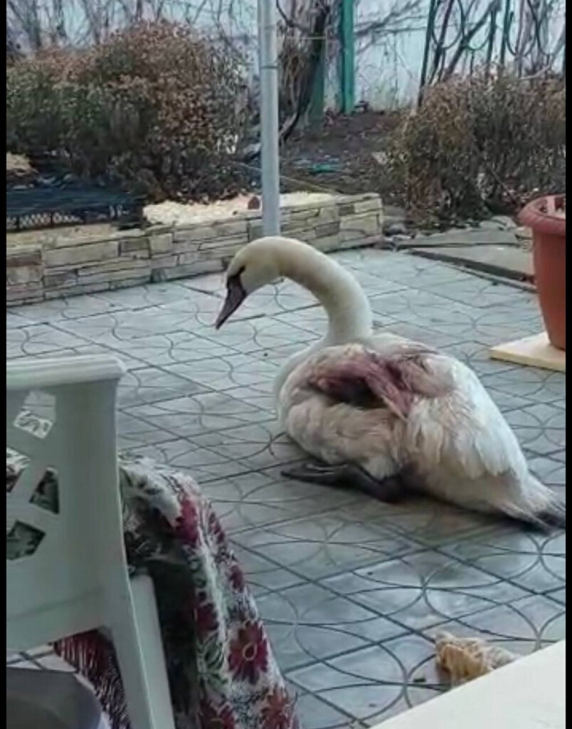 -2