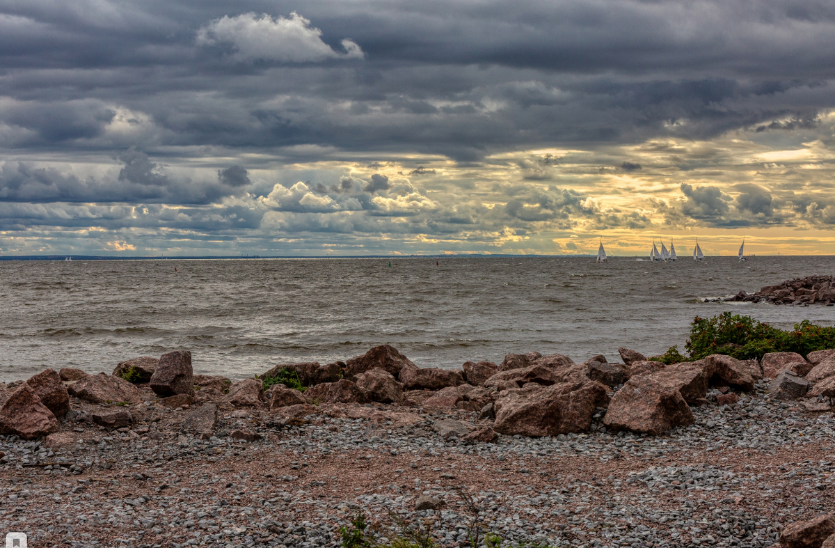 Фото Александра Дроздова