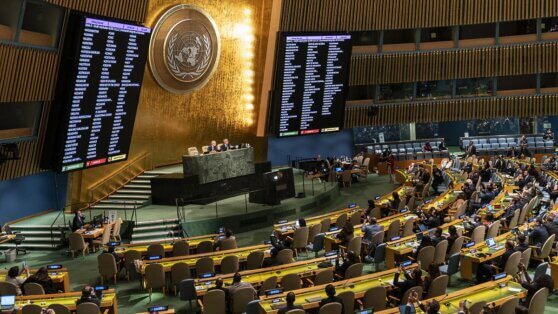    AP: поддерживающие Киев страны подготовили в ООН резолюцию по России и Украине Юлия Шелковенко