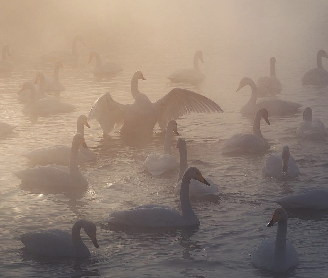 Фото: @dkupratsevich, instagram.com* 