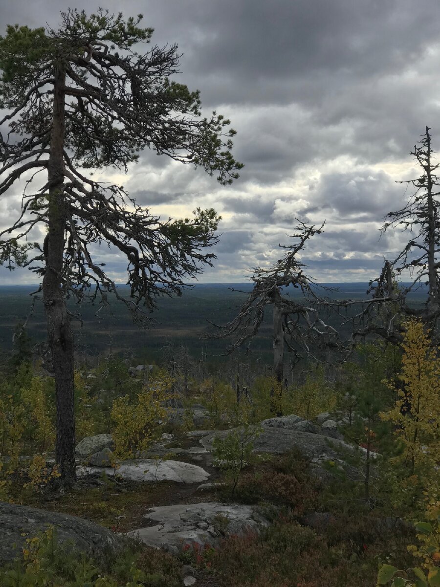 Фото автора канала