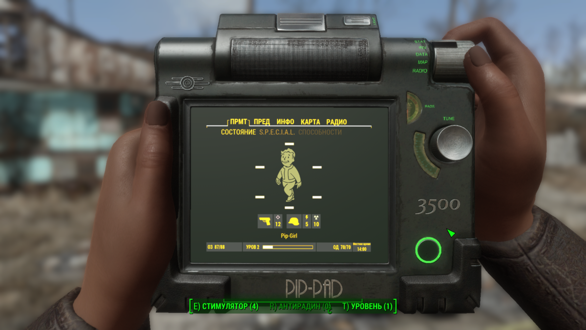 Fallout 4 pip pad