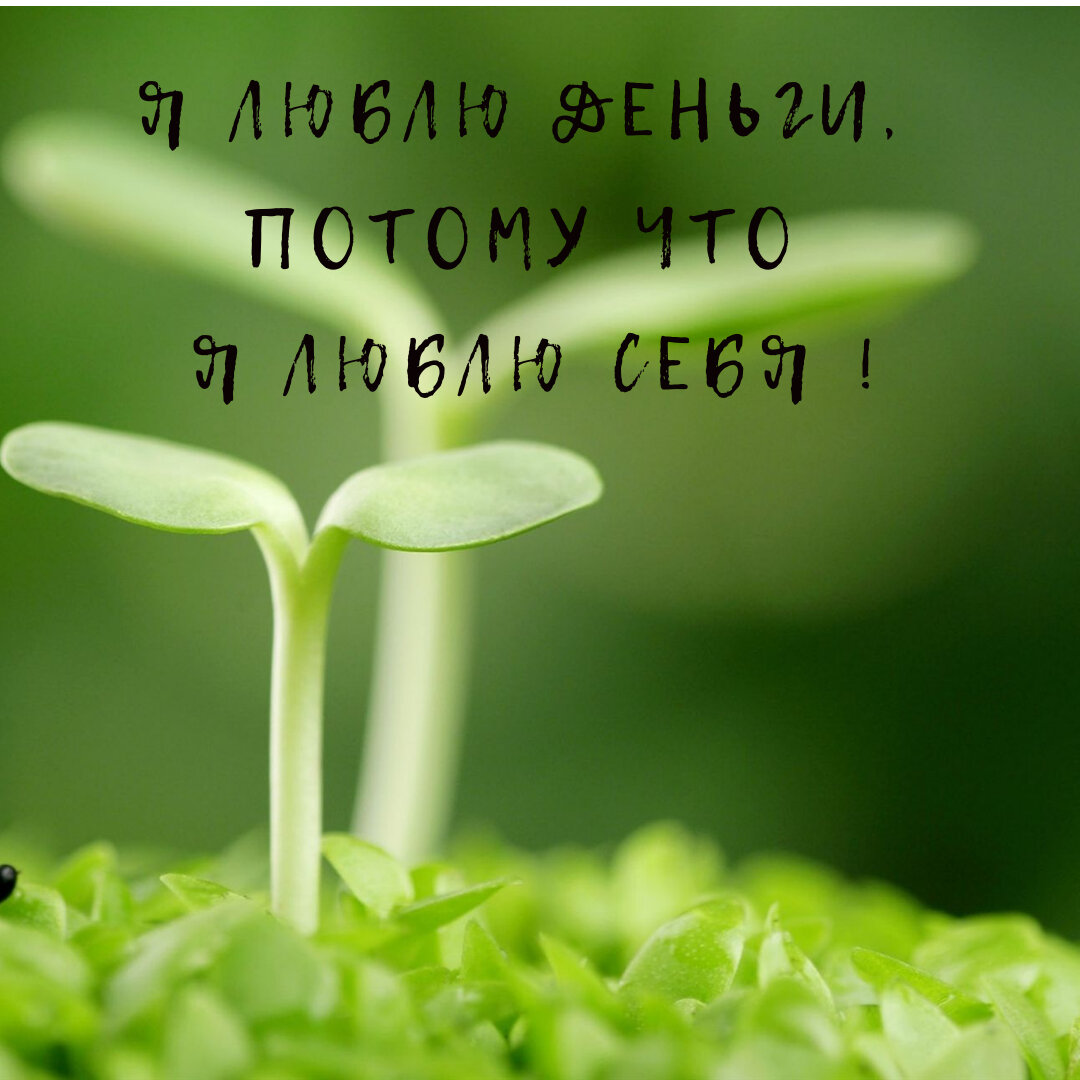 Денежная аффирмация. Повторять каждый день.