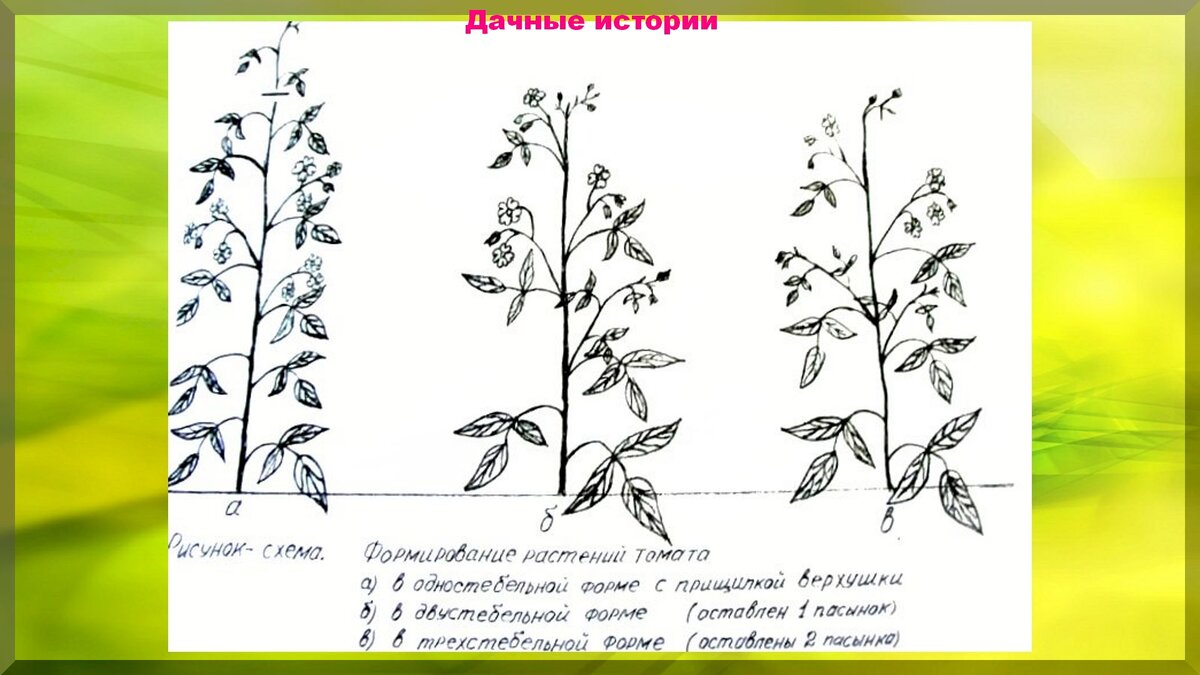 Простейшая схема формирования.https://vk.com/photo-159774511_457243946