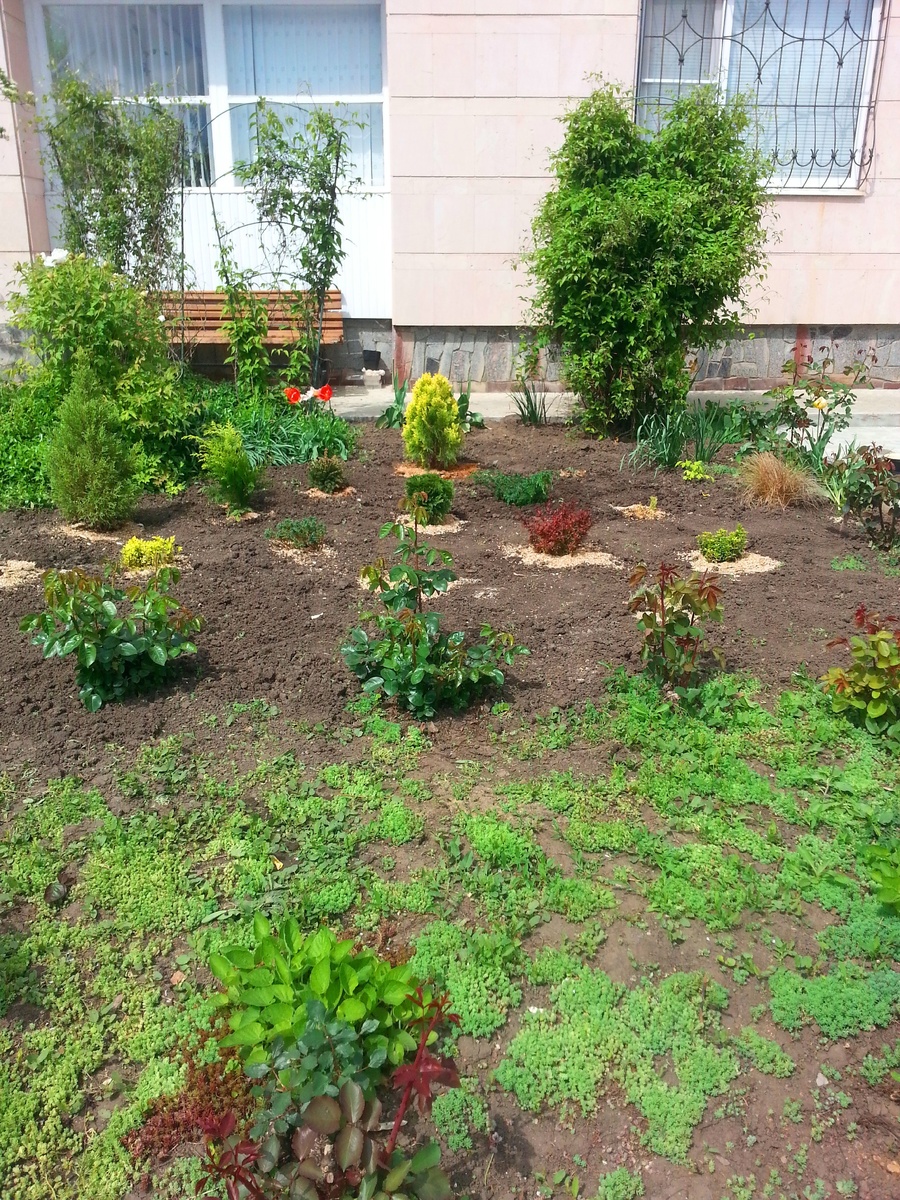 Сразу получилось не совсем красиво(фото автора)