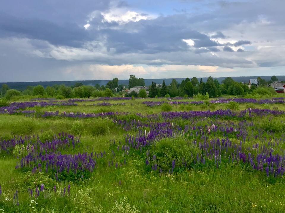 Омутнинск, фото автора