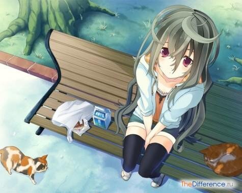 Кадр из аниме