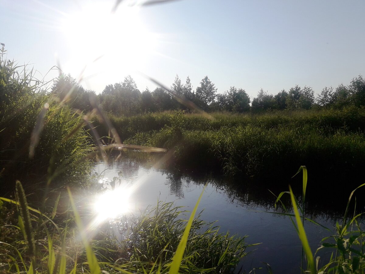 Местечко близ Дядькино здесь я перекусил и искупался.