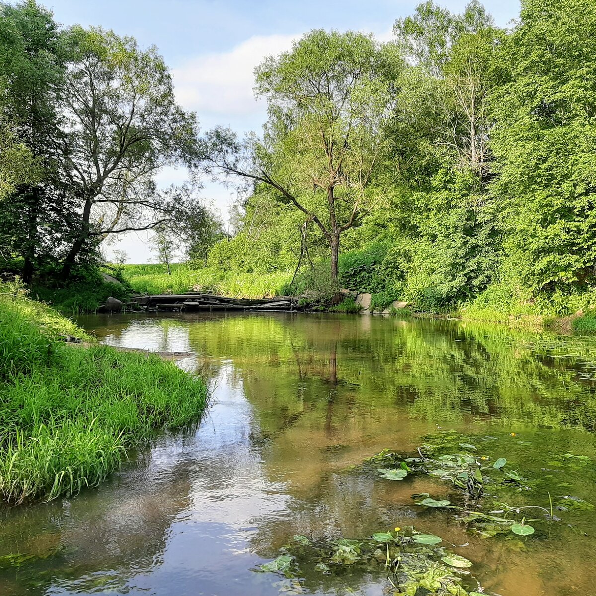 Все фото автора