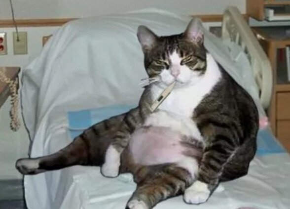 Вот  это надо было, чтобы так угораздило! 