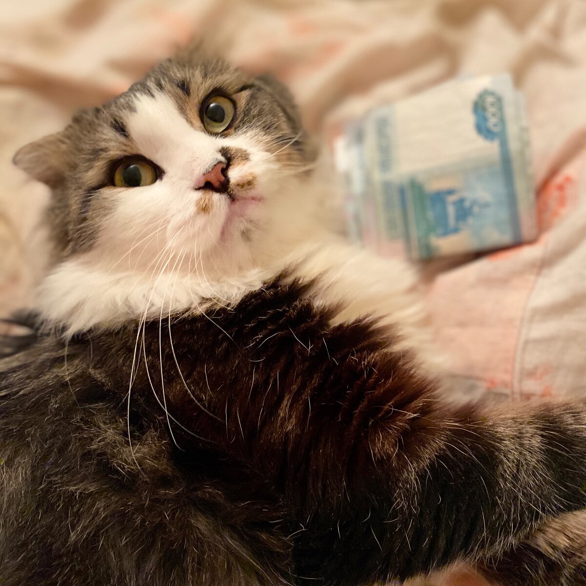 Это что, мне на оливки?