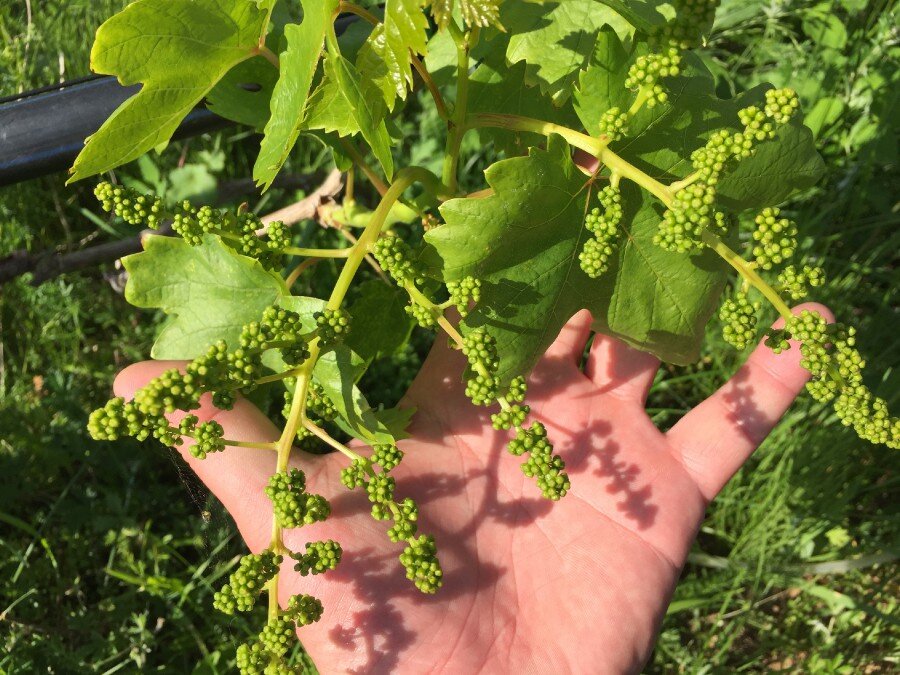 Источник фото: forum.na-svyazi.ru