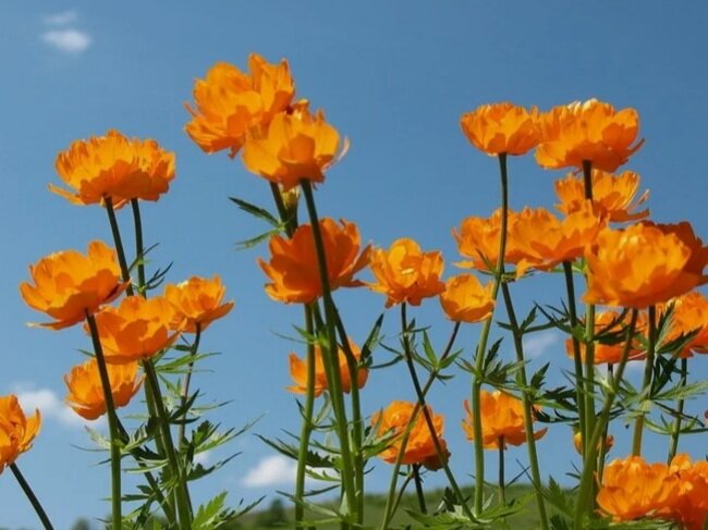 Фото из открытых источников. Подписывайтесь на канал