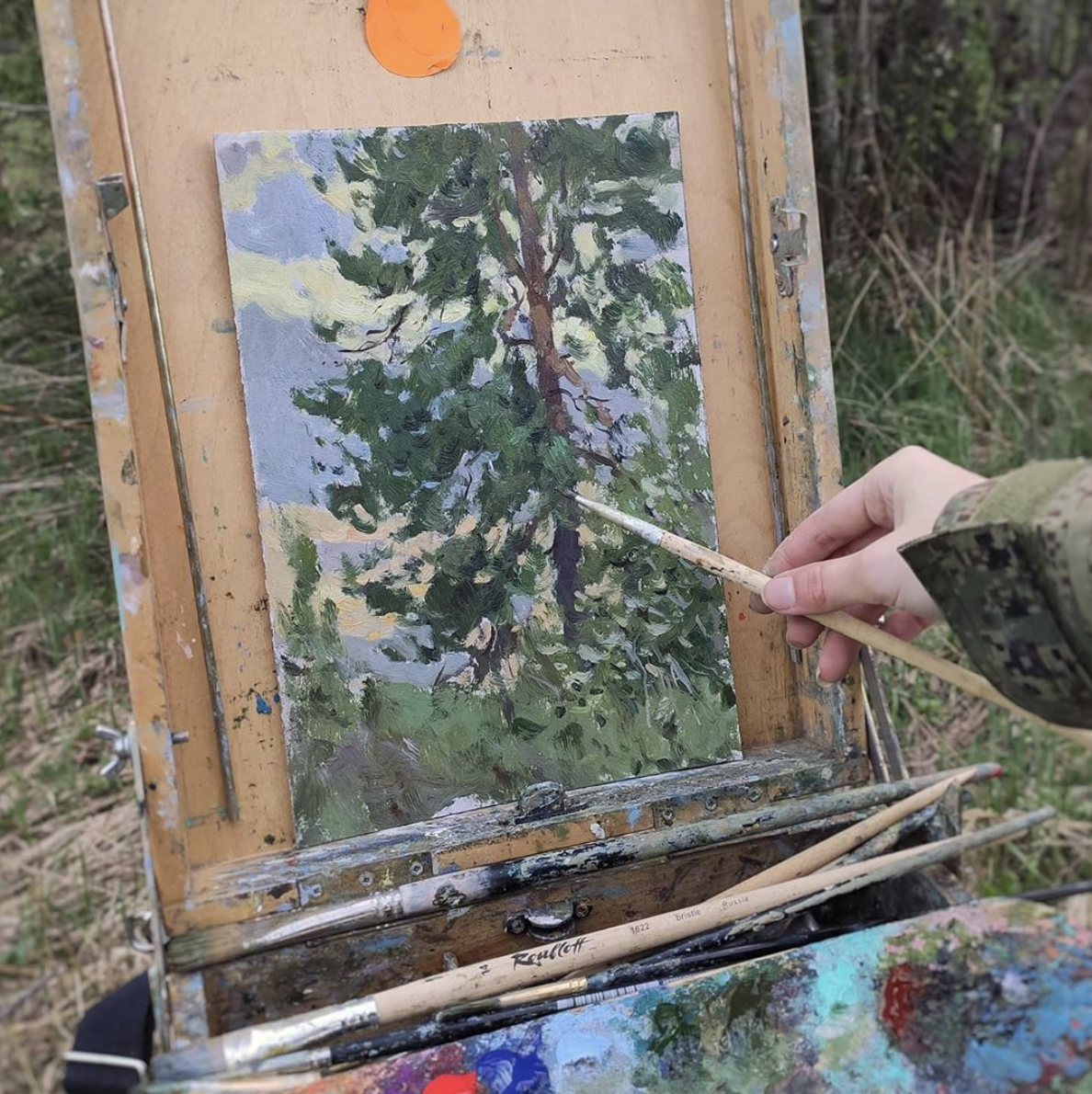 Этюд из весенних деревенских дней про сосну и её соседку черёмуху.