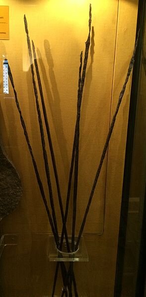 Железный обол из Афинского нумизматического музея. Источник: wikipedia.org. Автор: Odysses