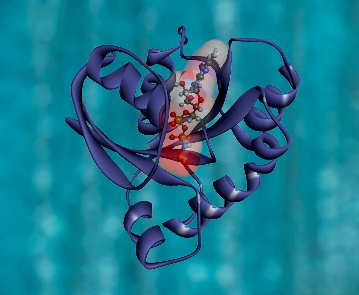 Photo by National Cancer Institute on Unsplash 
