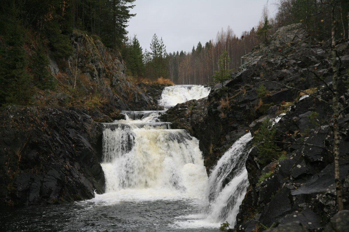 Фото автора.