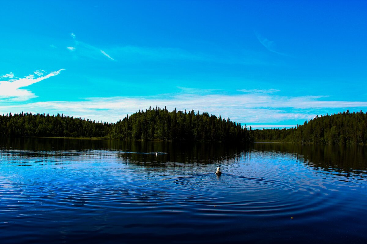 Озера Соловецкого острова.