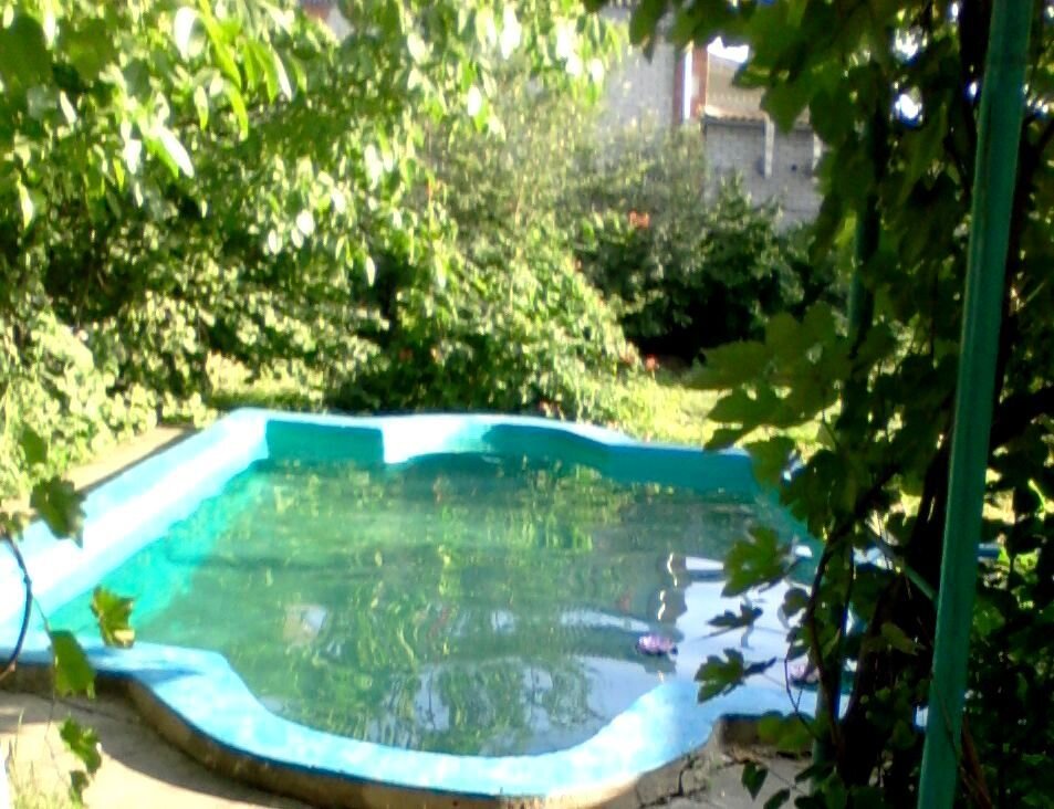 Этот бассейн мы сделали своими руками за 2 недели. Ему 20 лет. Фото автора.