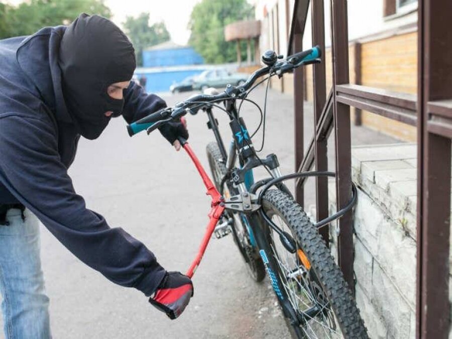 Фото с сайта осипед - vesti-yaroslavl.ru.