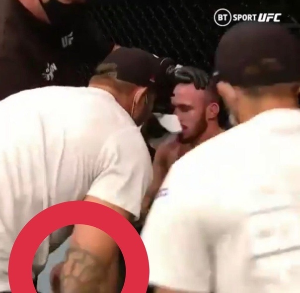 Журналист извинился перед русским бойцом UFC Богатовым. Он назвал тату его секунда неонацистской