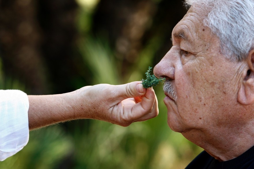 Фото:yandex.ru/images/