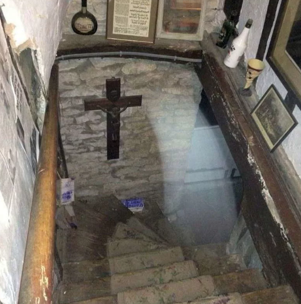 Фото Яндекс Картинки.