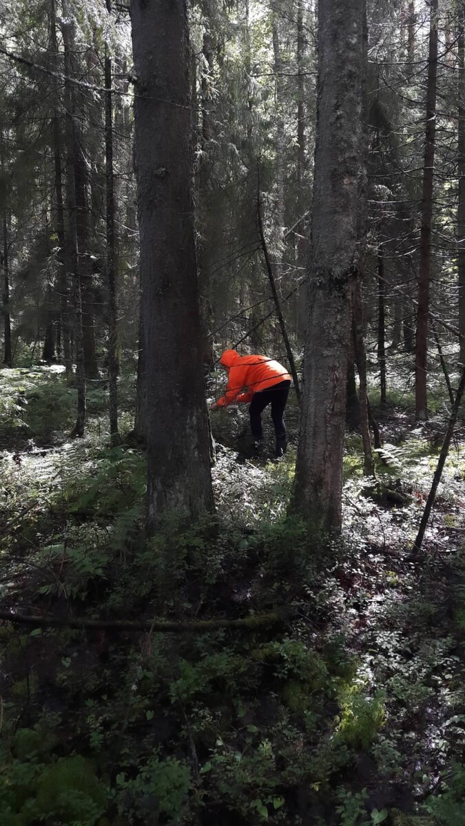 -2