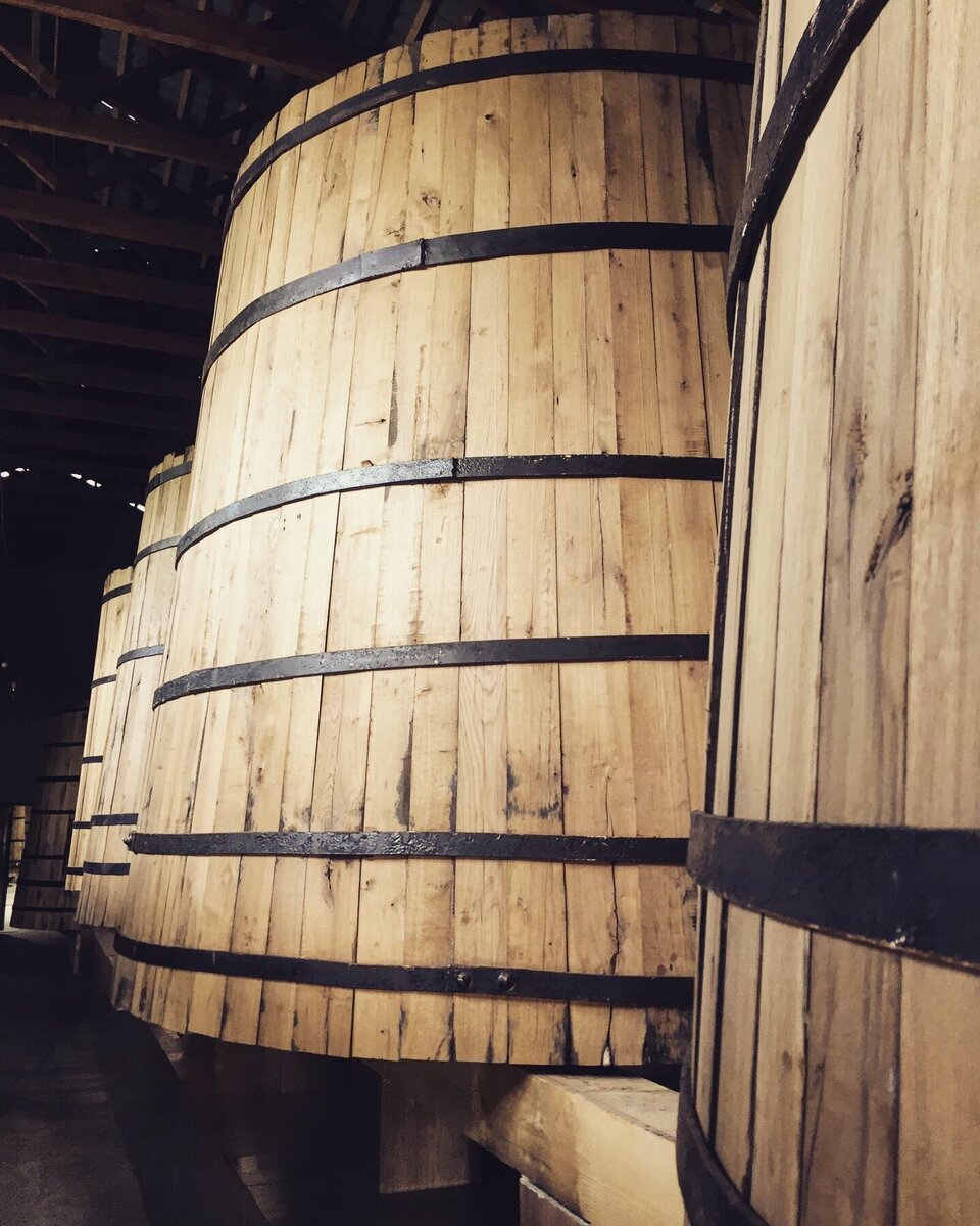 Гигантские бочки для выдержки вина на заводе Хванчкара, фото автора