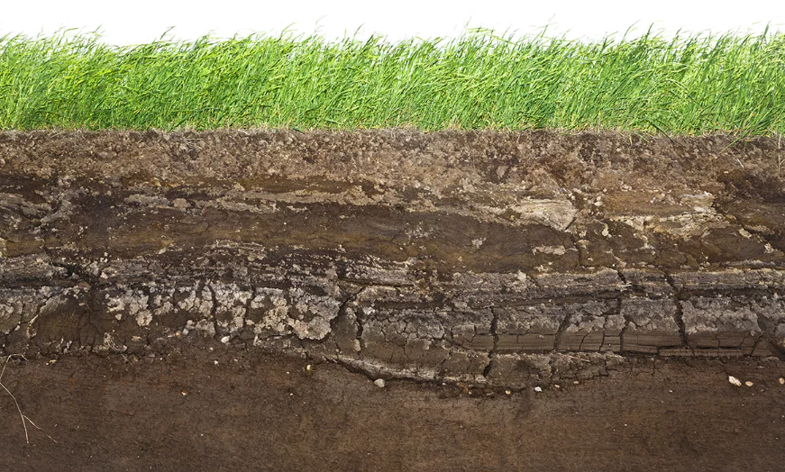 Глубина плодородного слоя земли. Подготовка грунта под фундамент. Срез почвы. Слои грунта для газона. Почвенный разрез.