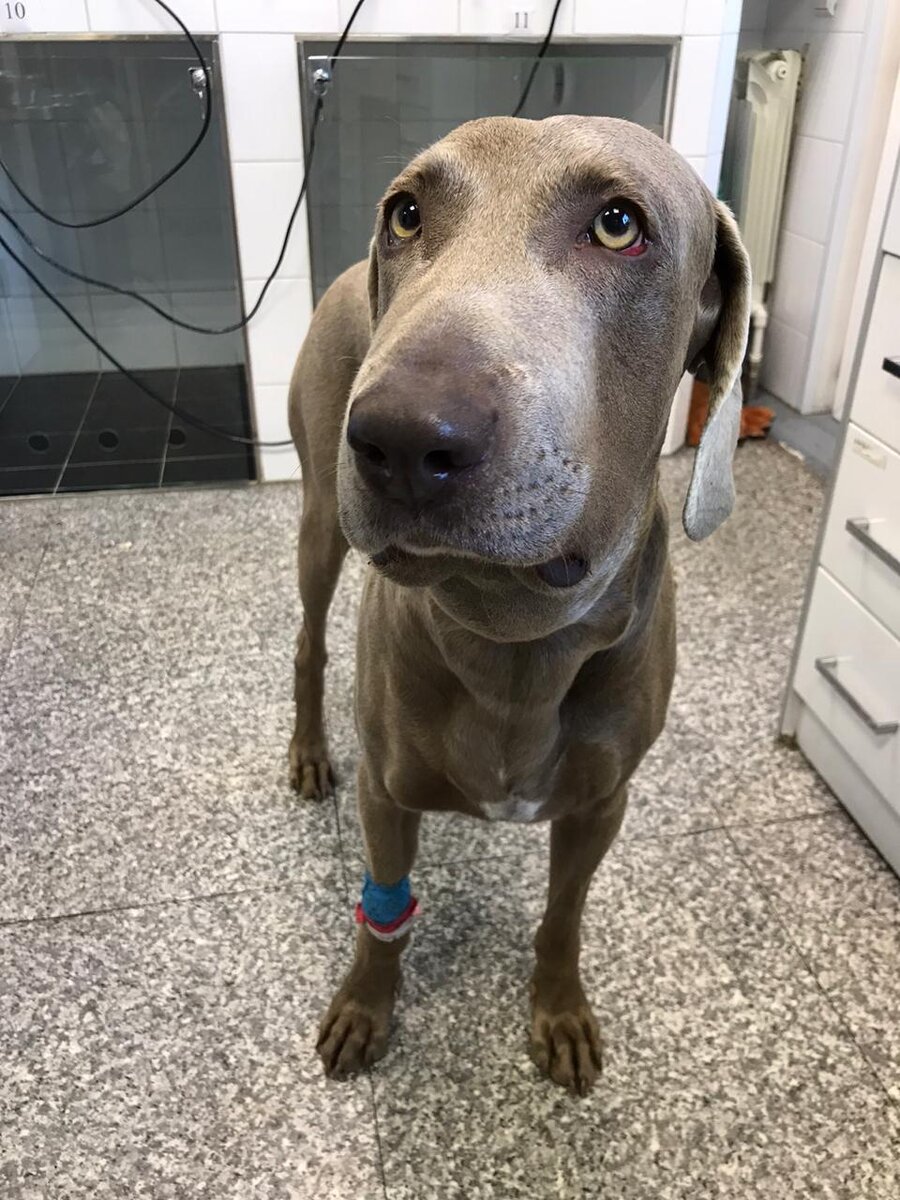 Результат трех дней терапии