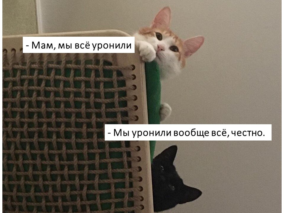 Уехал  домой 29 февраля 2020 года (номер 5088)