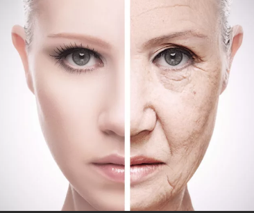 взято с интернета