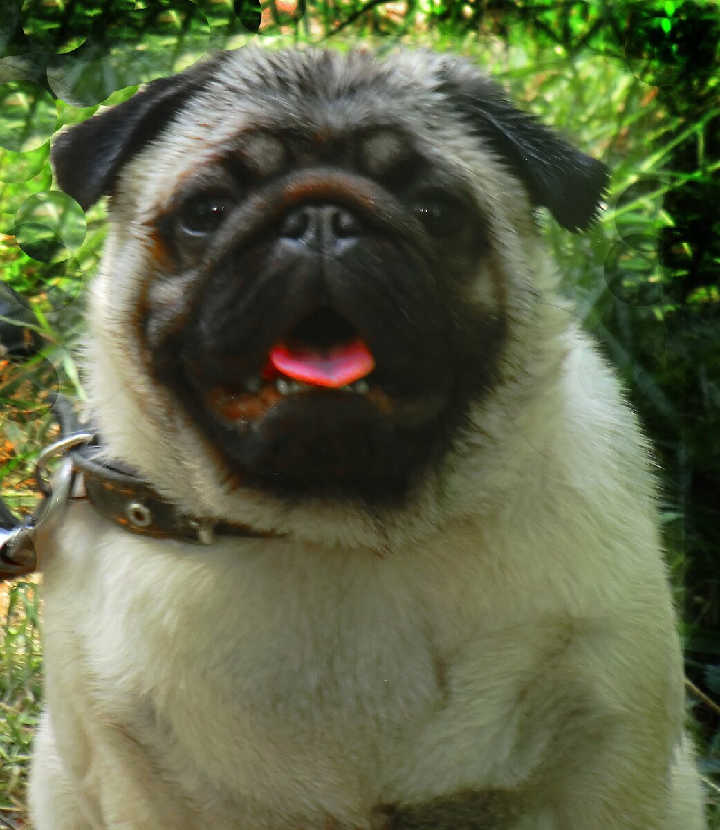 как хорошо на жаре попить родниковой водички))