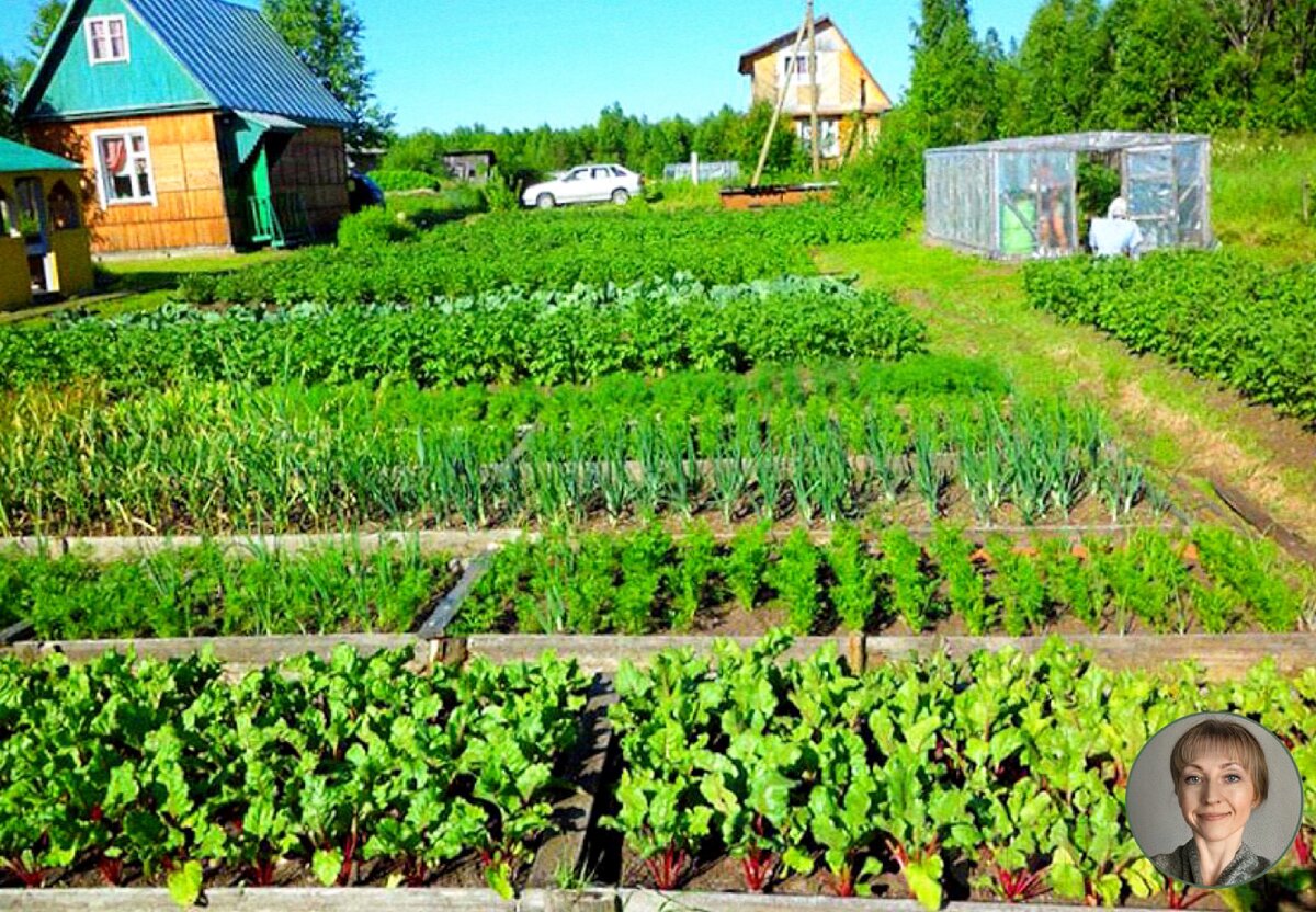 Большая территория участка 