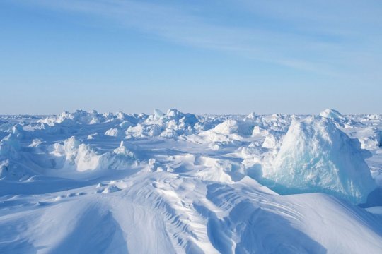  12.08.2020 • Владислав Гулевич, эксперт журнала «Международная жизнь»                         