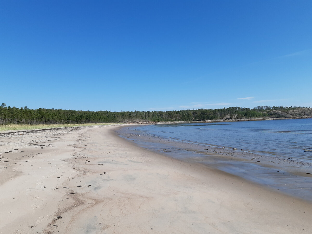 Безлюдные пляжи Ленинградской