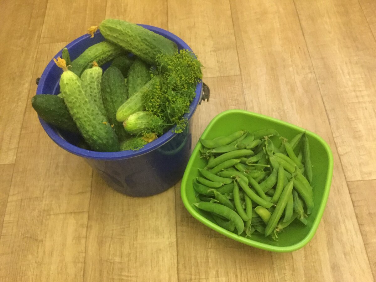 Свежачок, прямо с грядки.