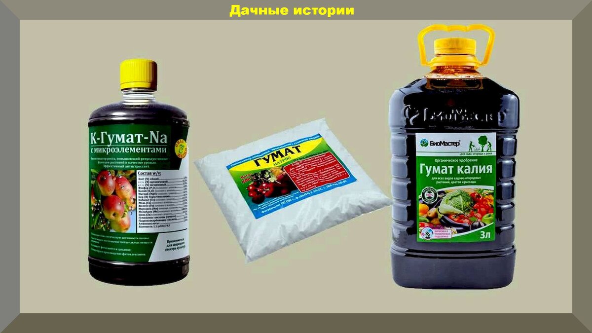 Гумат калия фото для помидоры