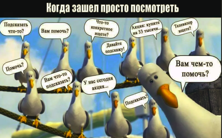 Это типичные чувства человека, который зашел в магазин