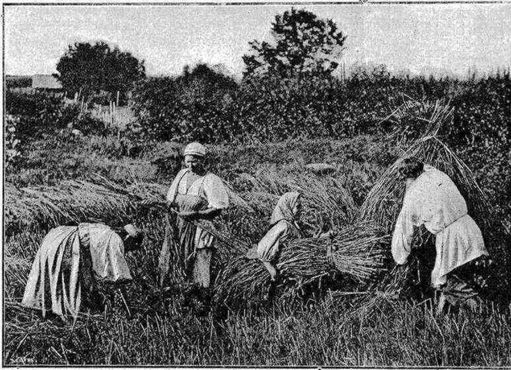 Из открытого источника