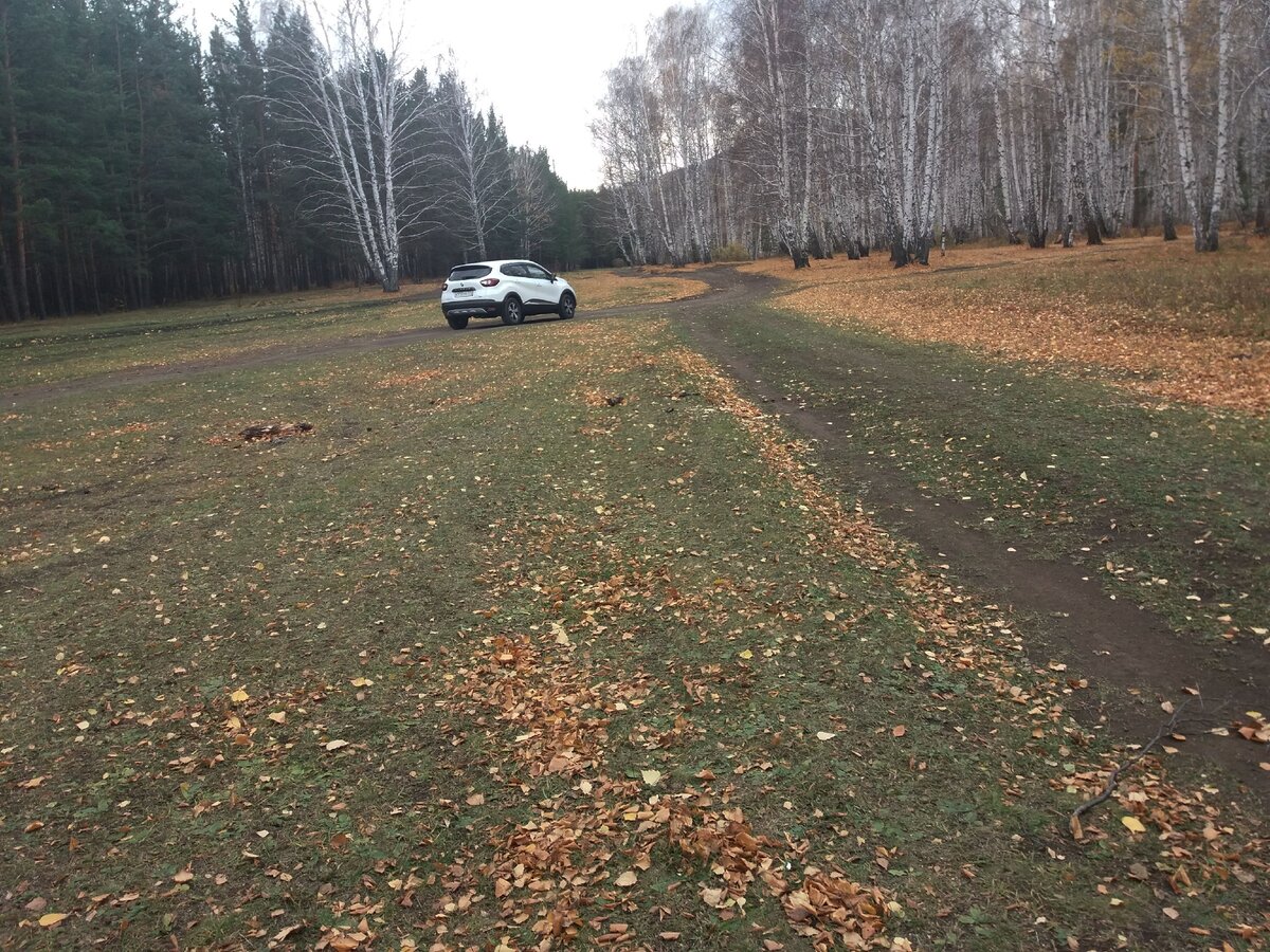 Путешествие на автомобиле.