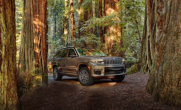 Взято из открытых источников