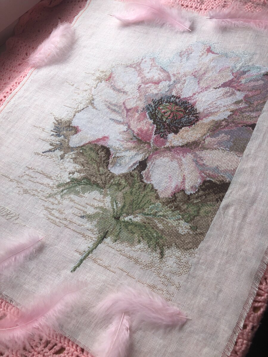 Фото автора. Lanarte