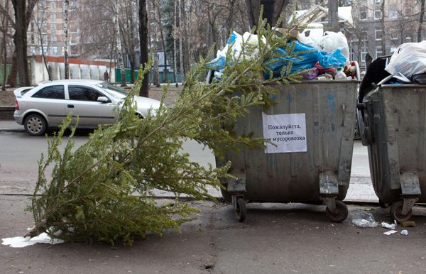 Кстати, особо предприимчивые наши бывшие соотечественники елки не покупают, а забирают те, что выкинули соседи-американцы. Чем, конечно, тоже шокируют окружающих