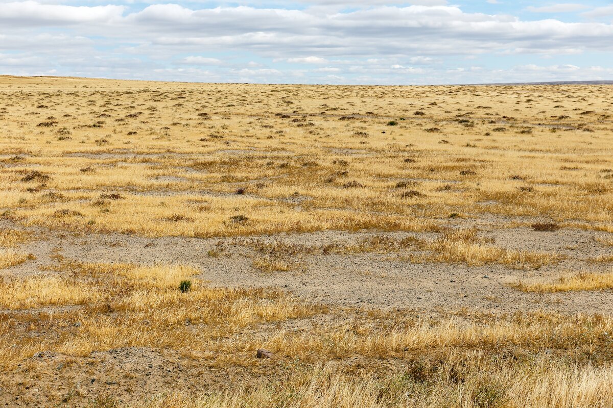 Монгольский пейзаж
