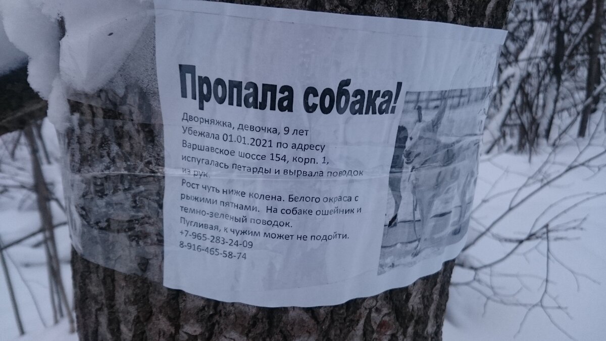 Фото автора. 